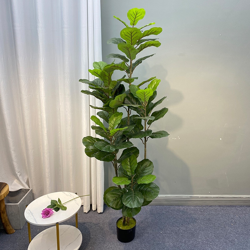 Fiddle Leaf Fig - Árbol de Ficus grande de 59