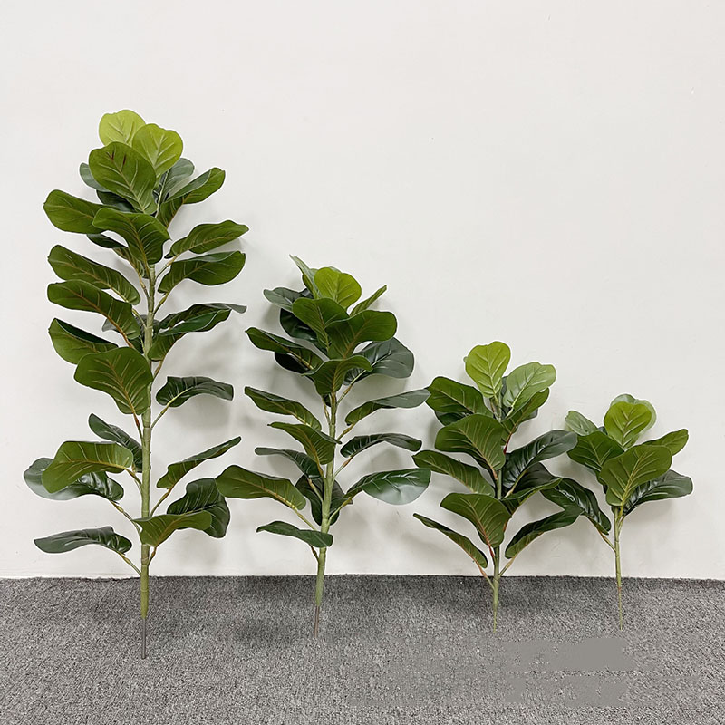 Árbol de Ficus grande de 59 pu - Fiddle Leaf Fig reseña y precio
