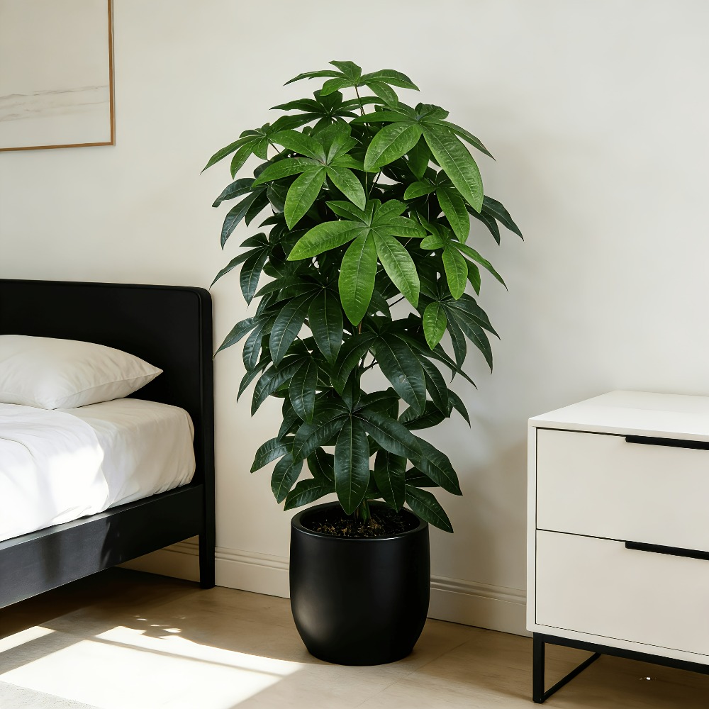 Árbol del Dinero Artificial Pa - Fiddle Leaf Fig reseña y precio